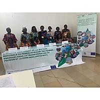 African Women Fish Processors and Traders Network-AWFishNet-CAR image